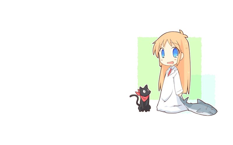 anime girl with cat and shark