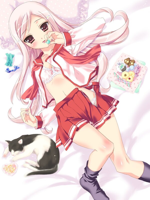 Anime girl with cat and sweets