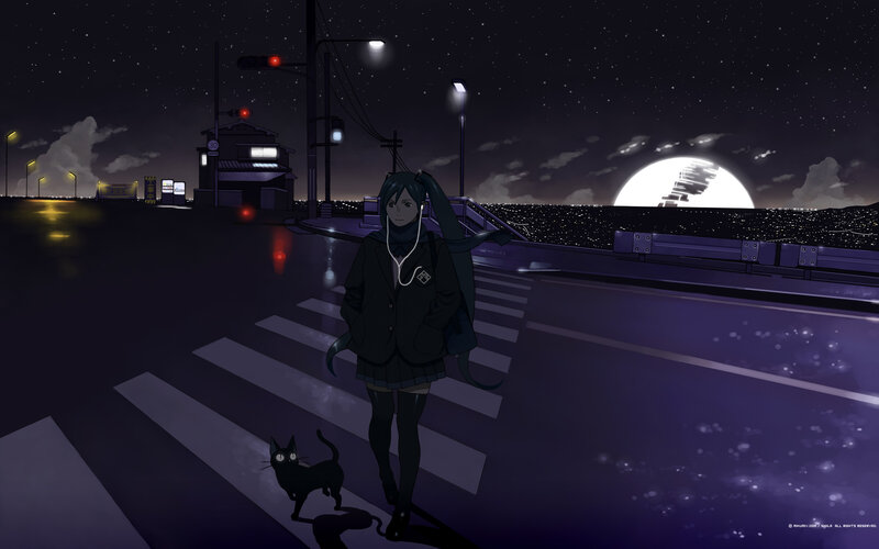 Anime girl with cat at night