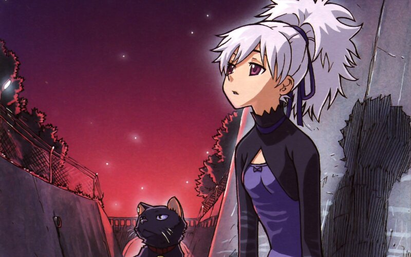 anime girl with cat at night