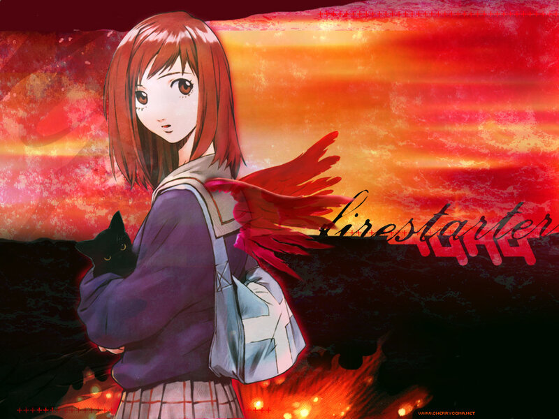 Anime girl with cat at sunset