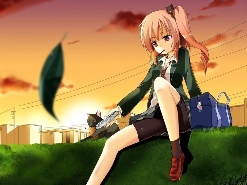 Anime girl with cat at sunset
