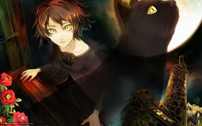 Anime Girl with Cat — Black, Dramatic, Night