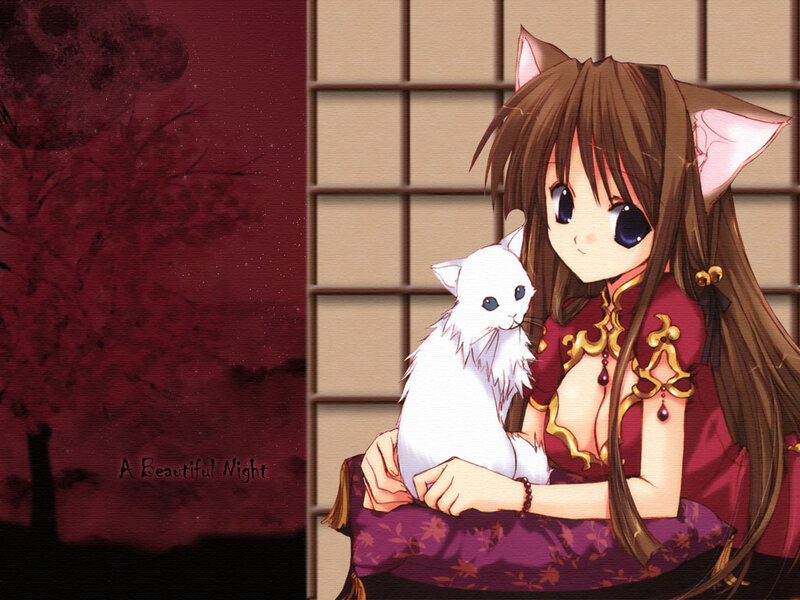 Anime Girl with Cat — Brown, Calm, Night