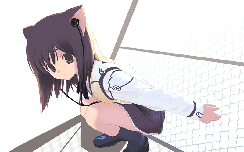 anime girl with cat ears