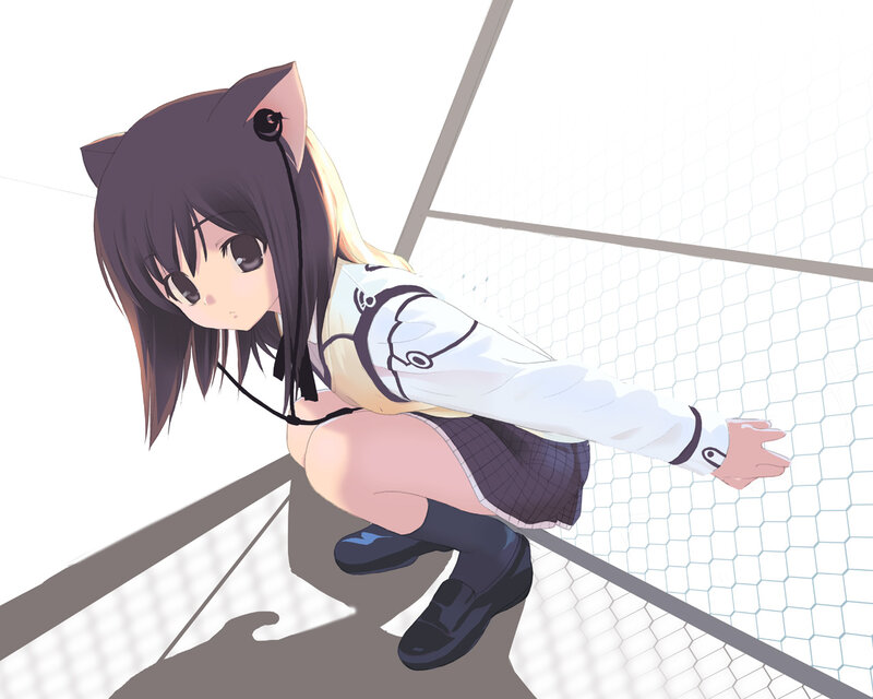 anime girl with cat ears