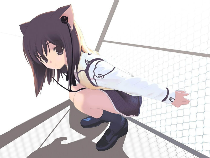 anime girl with cat ears