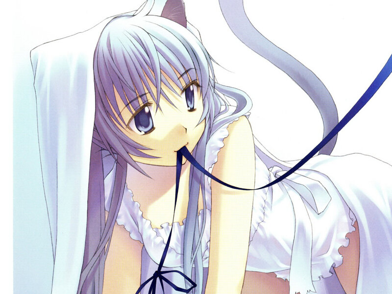 anime girl with cat ears