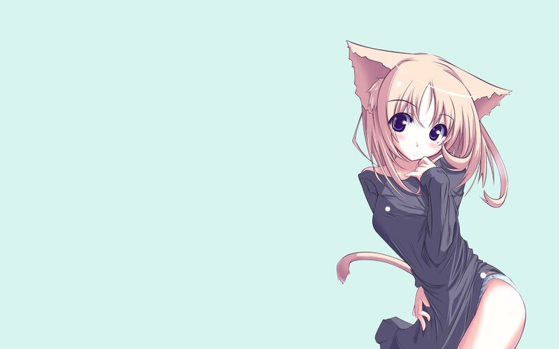 anime girl with cat ears