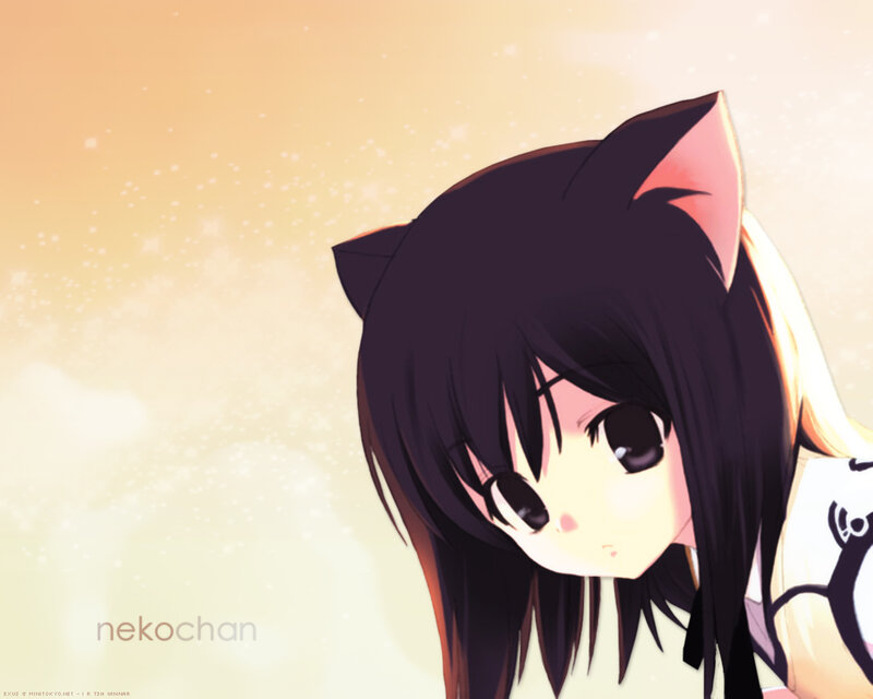 anime girl with cat ears