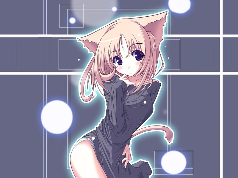 anime girl with cat ears