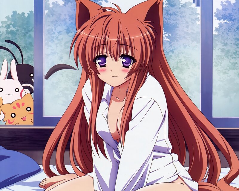 anime girl with cat ears