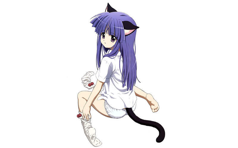 anime girl with cat ears