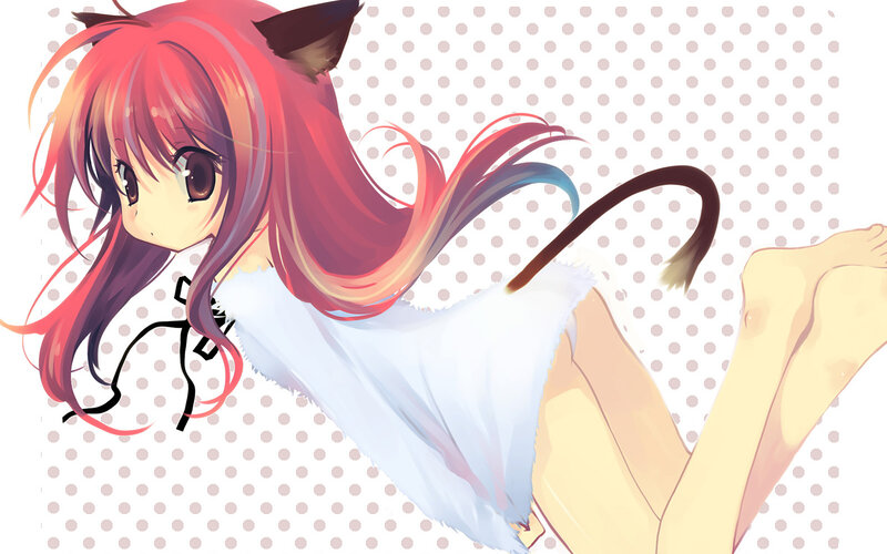 anime girl with cat ears
