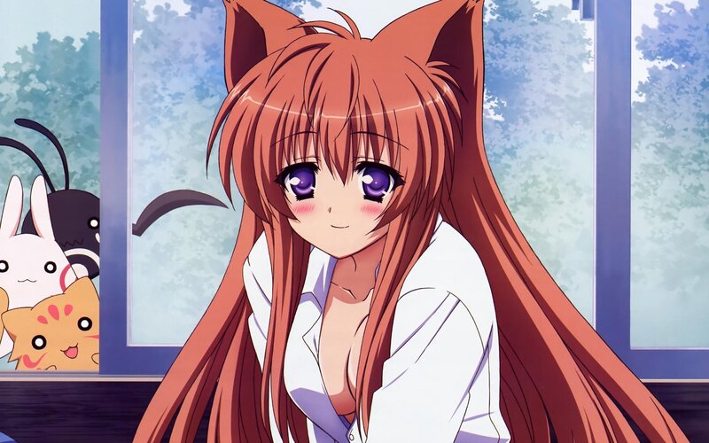 anime girl with cat ears