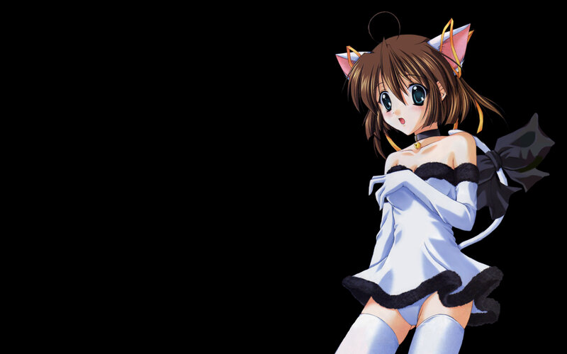anime girl with cat ears