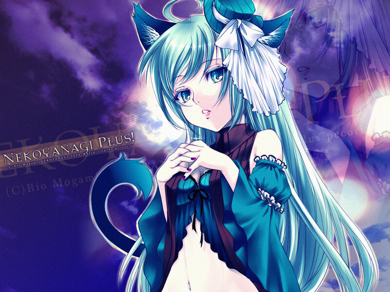 anime girl with cat ears