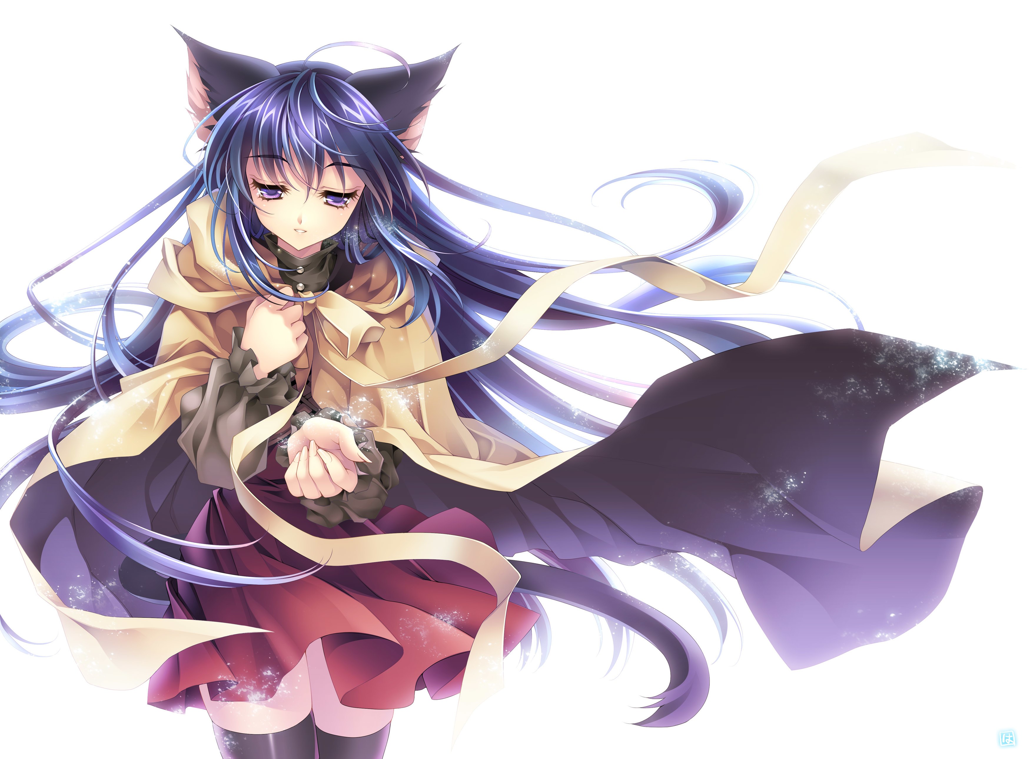anime girl with cat ears