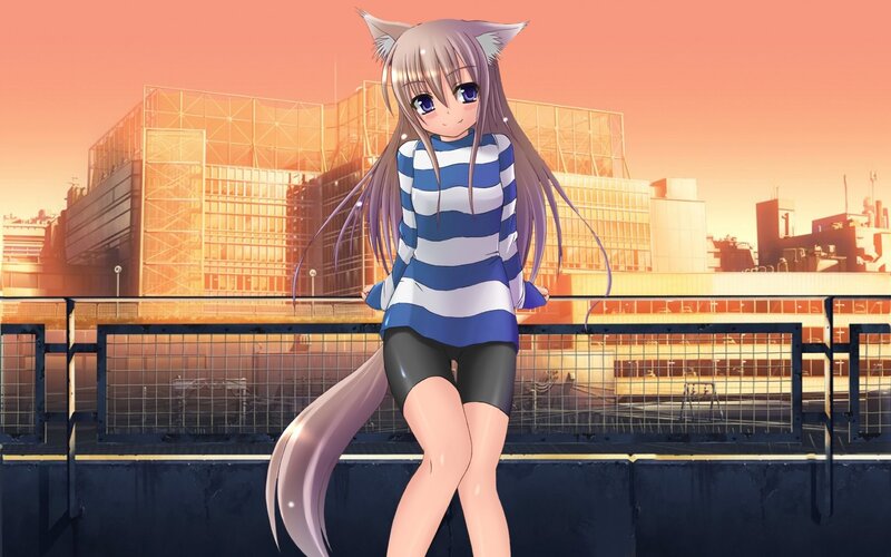 anime girl with cat ears