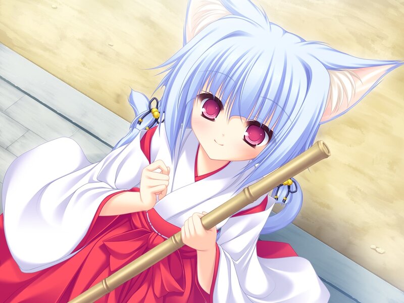 anime girl with cat ears