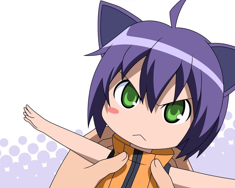 anime girl with cat ears