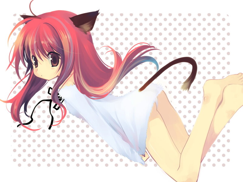 anime girl with cat ears