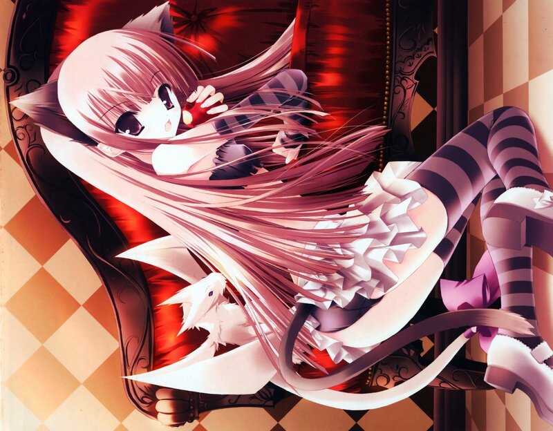 anime girl with cat ears