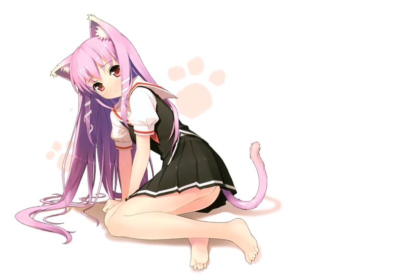 anime girl with cat ears