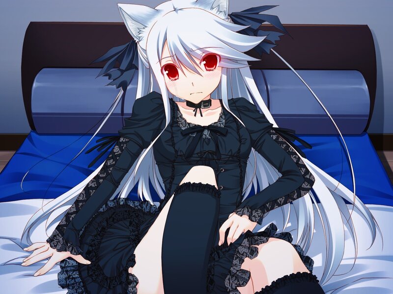 anime girl with cat ears