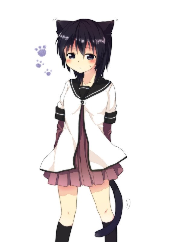 anime girl with cat ears