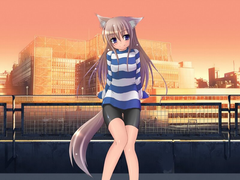 anime girl with cat ears
