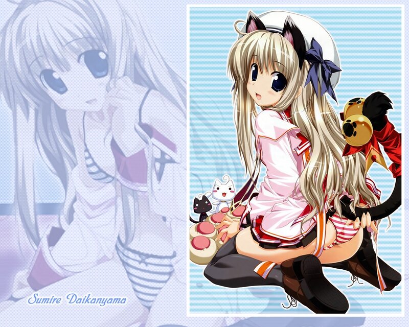 Anime girl with cat ears