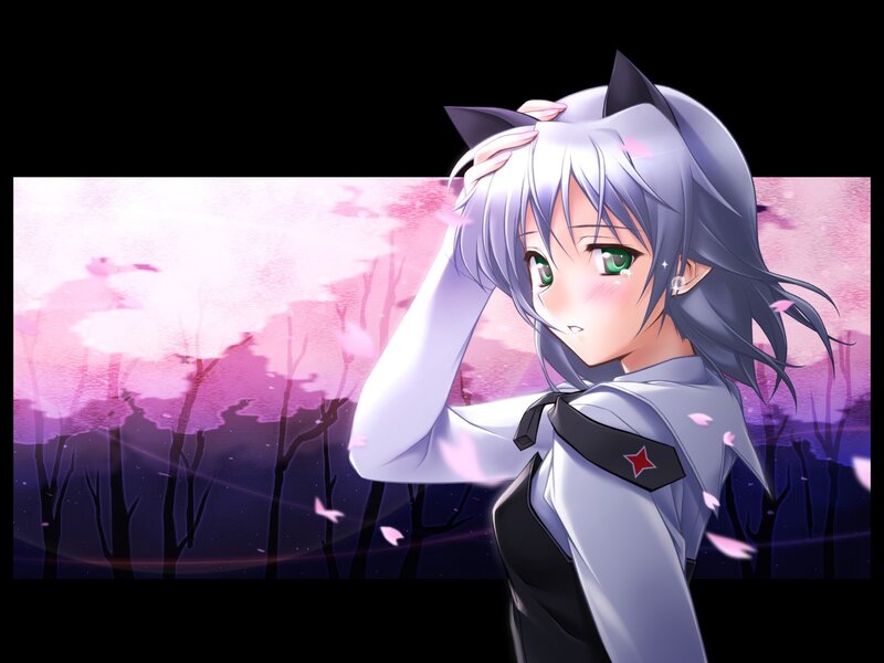 anime girl with cat ears