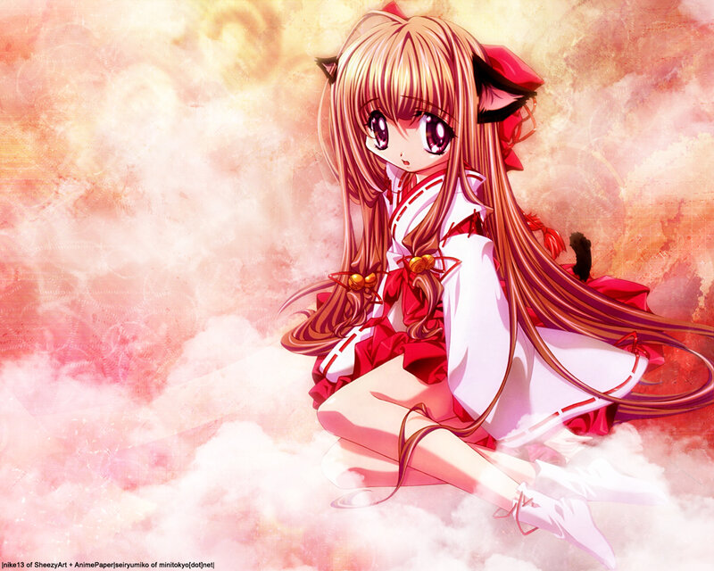 anime girl with cat ears