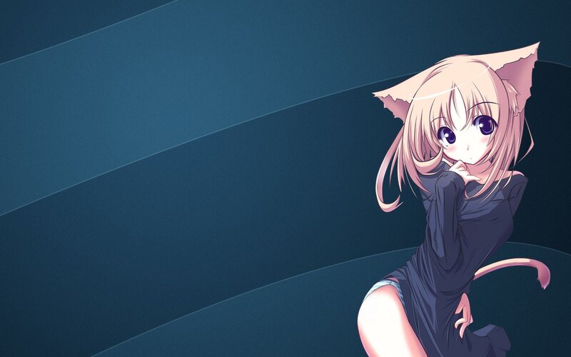 anime girl with cat ears