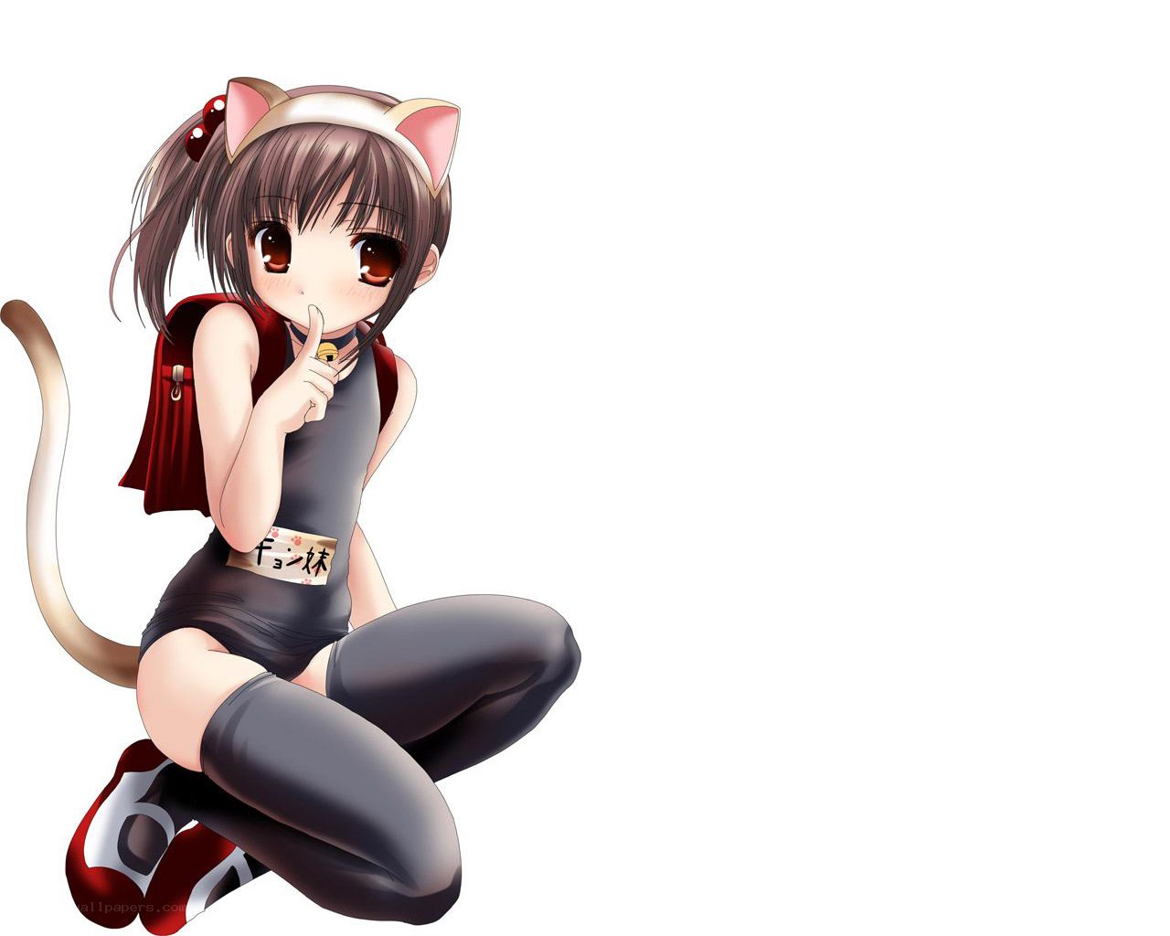 anime girl with cat ears
