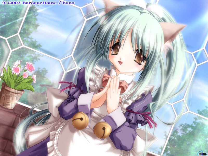 Anime girl with cat ears