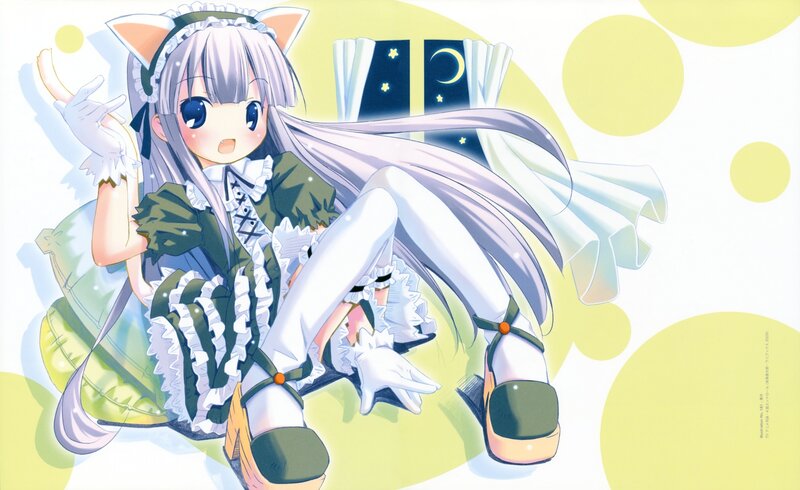 anime girl with cat ears