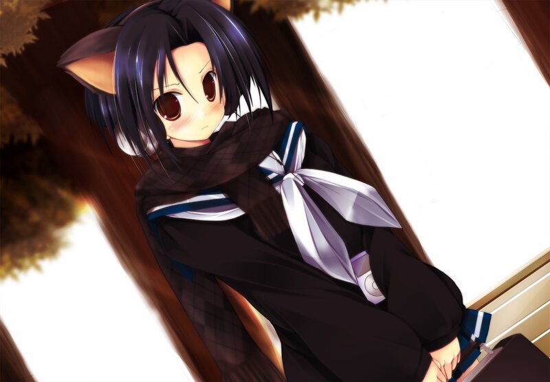 anime girl with cat ears