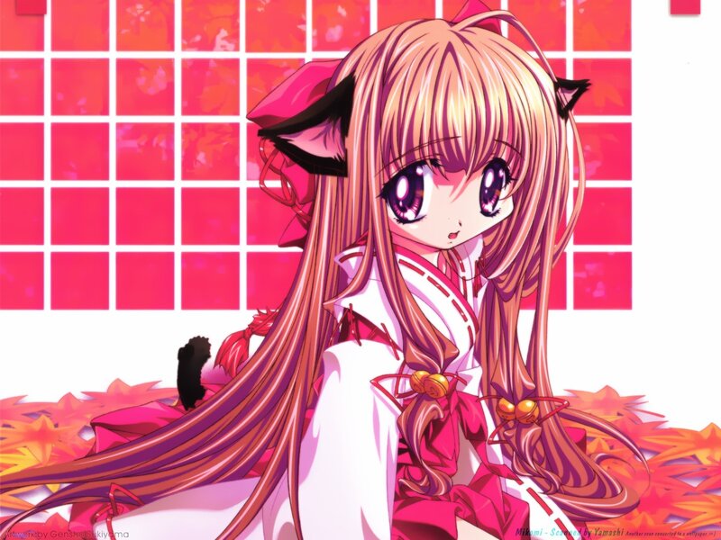 anime girl with cat ears