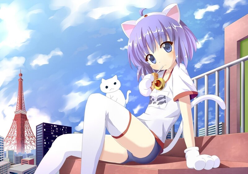 anime girl with cat ears