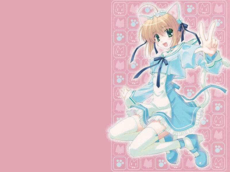 anime girl with cat ears