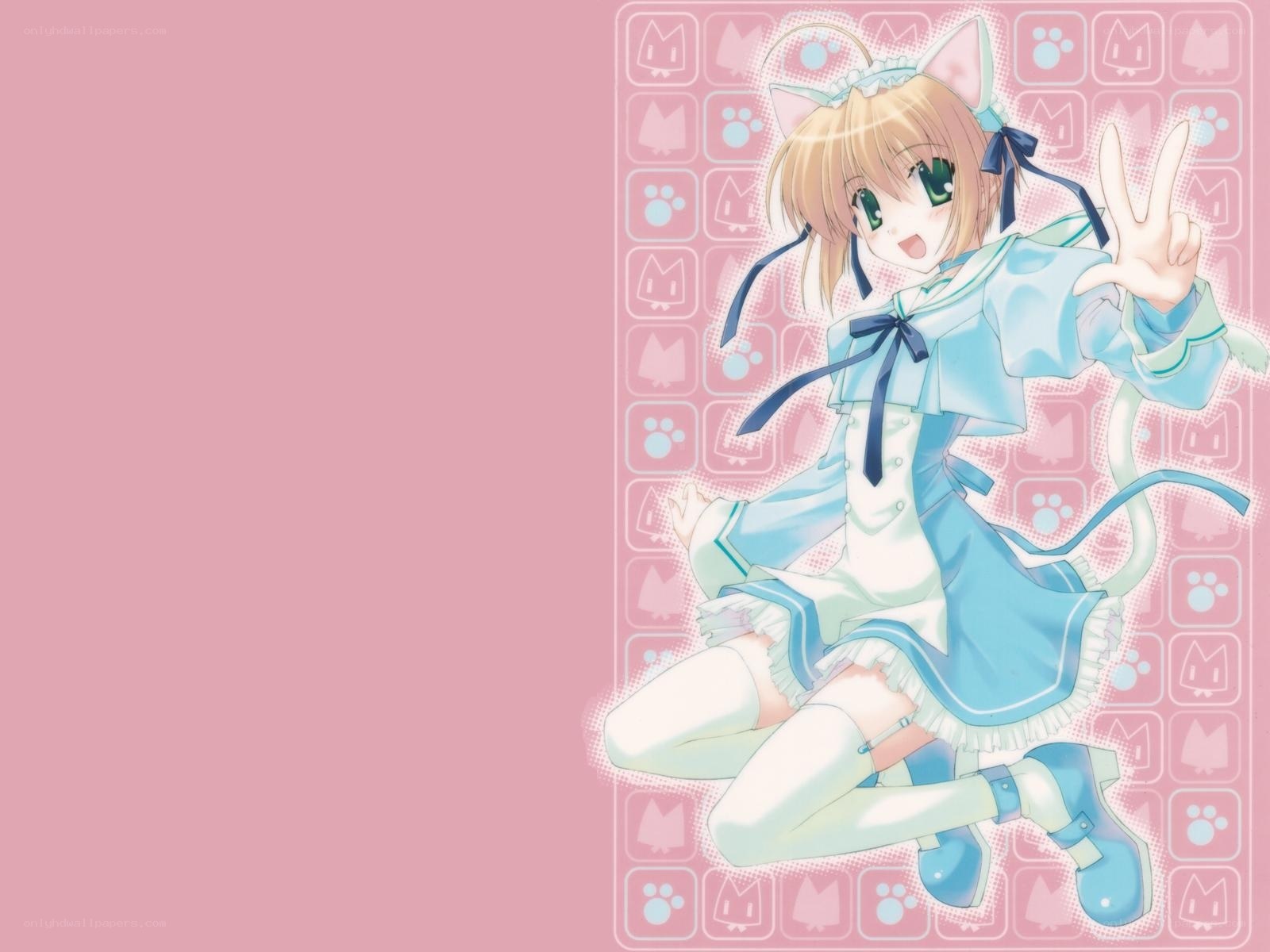 anime girl with cat ears