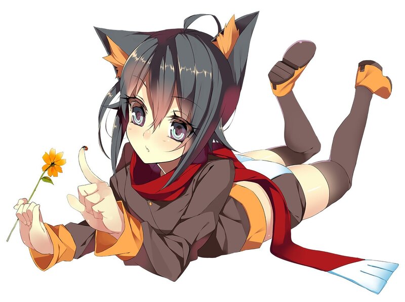 anime girl with cat ears