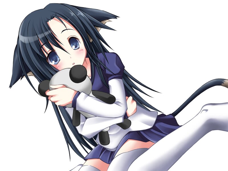 anime girl with cat ears
