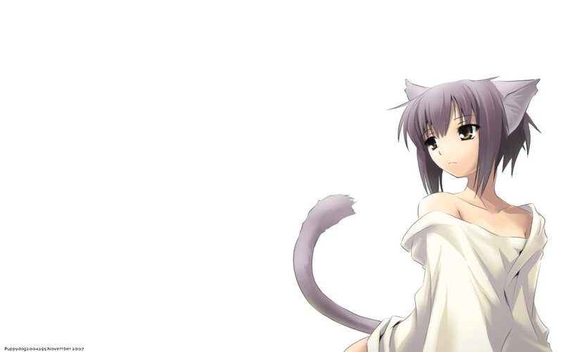 anime girl with cat ears