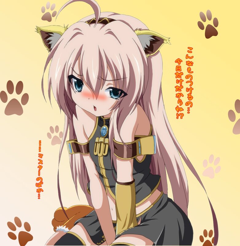 anime girl with cat ears