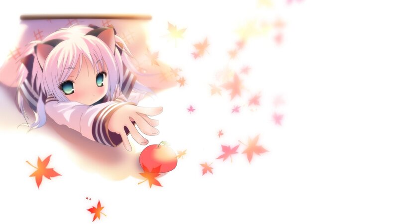 anime girl with cat ears