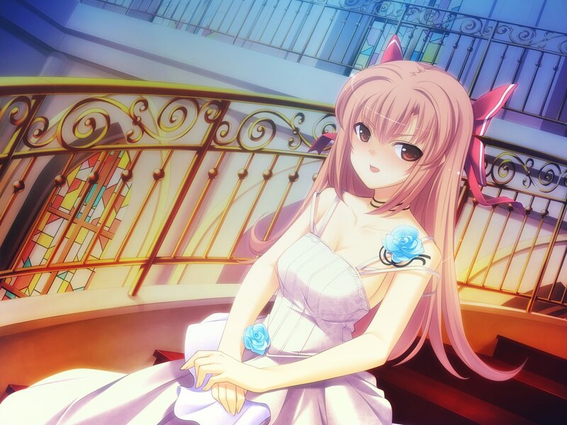 anime girl with cat ears