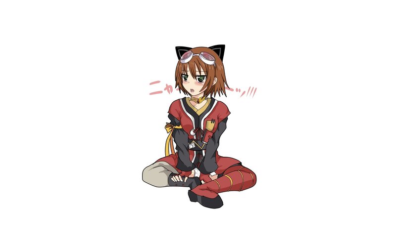 anime girl with cat ears